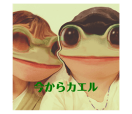 504800469