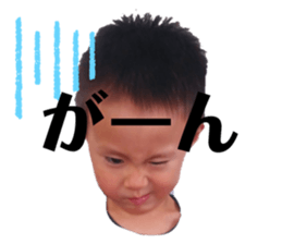 504800646