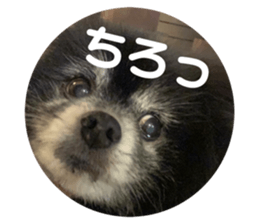 504803372