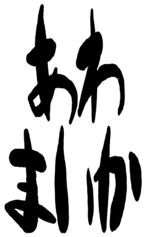 504819738