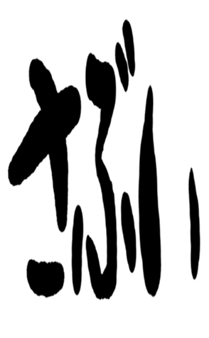 504819749
