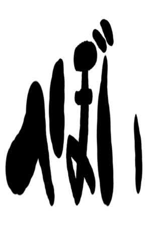 504819768