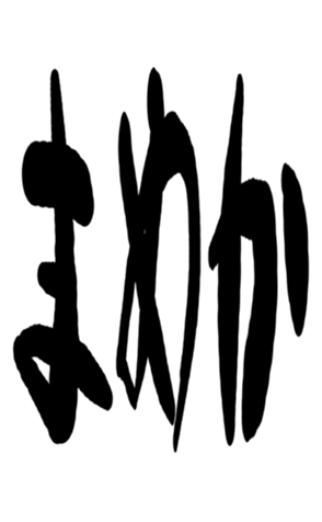 504819769