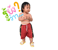 504841910