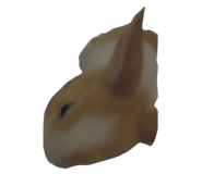 504843252