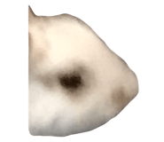 504843255
