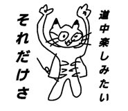 504850691