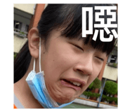504856647