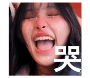 504856654
