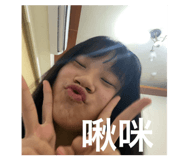 504856655