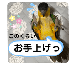 504873367