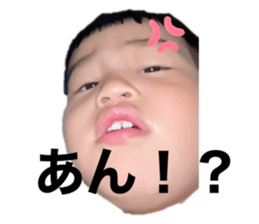 504873870