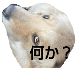504875857