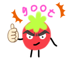504880007