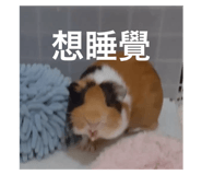 504884576