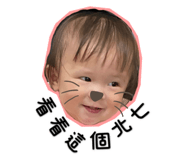 504886650