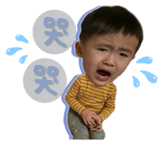 504886654