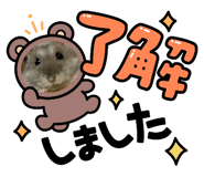 504894866
