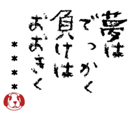504896521