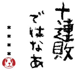 504896533