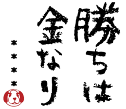 504896537