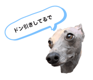 504896559