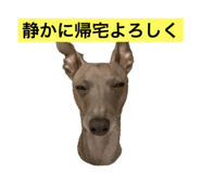 504896566