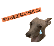 504896567