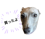 504896568