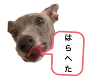504896569