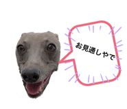 504896574