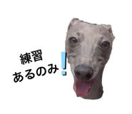 504896578