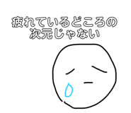 504900540