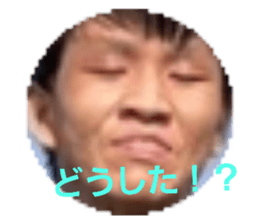 504909521