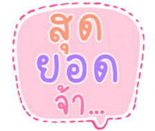 504917646