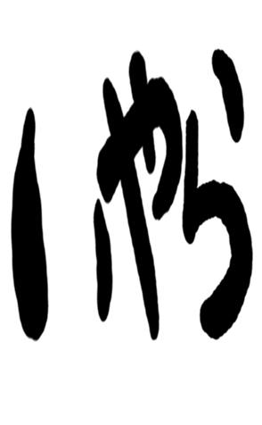 504931153