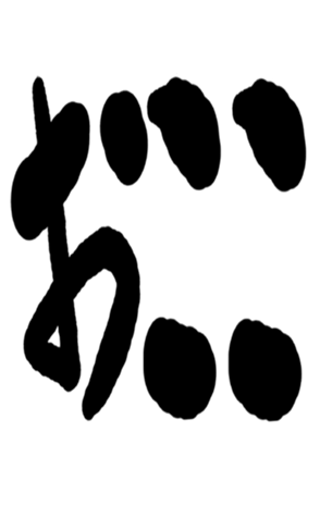 504931156