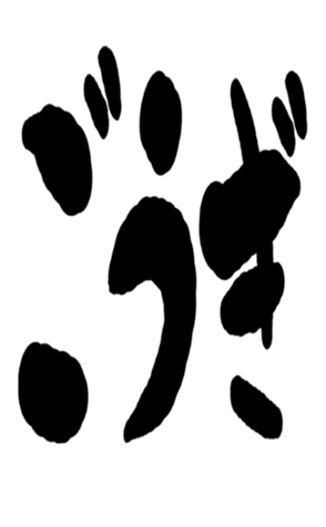 504931161