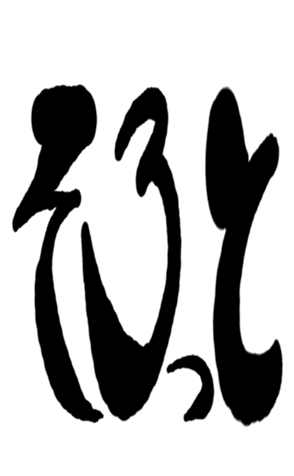 504931172