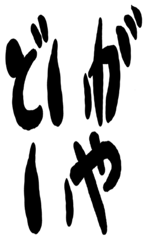 504931177