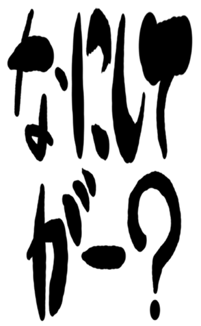 504931181
