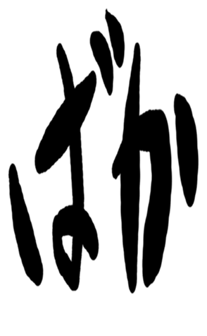 504931184