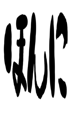 504931185