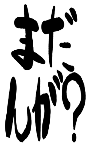 504931187