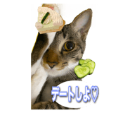 504958354