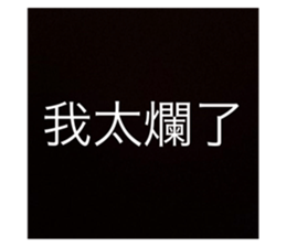 504978519