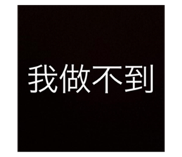 504978520