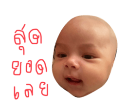 504978714