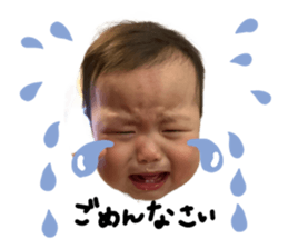 504981236