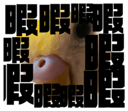 504989646